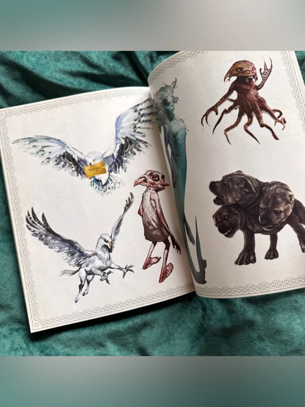 🖤5/$20 Harry Potter Coloring Book